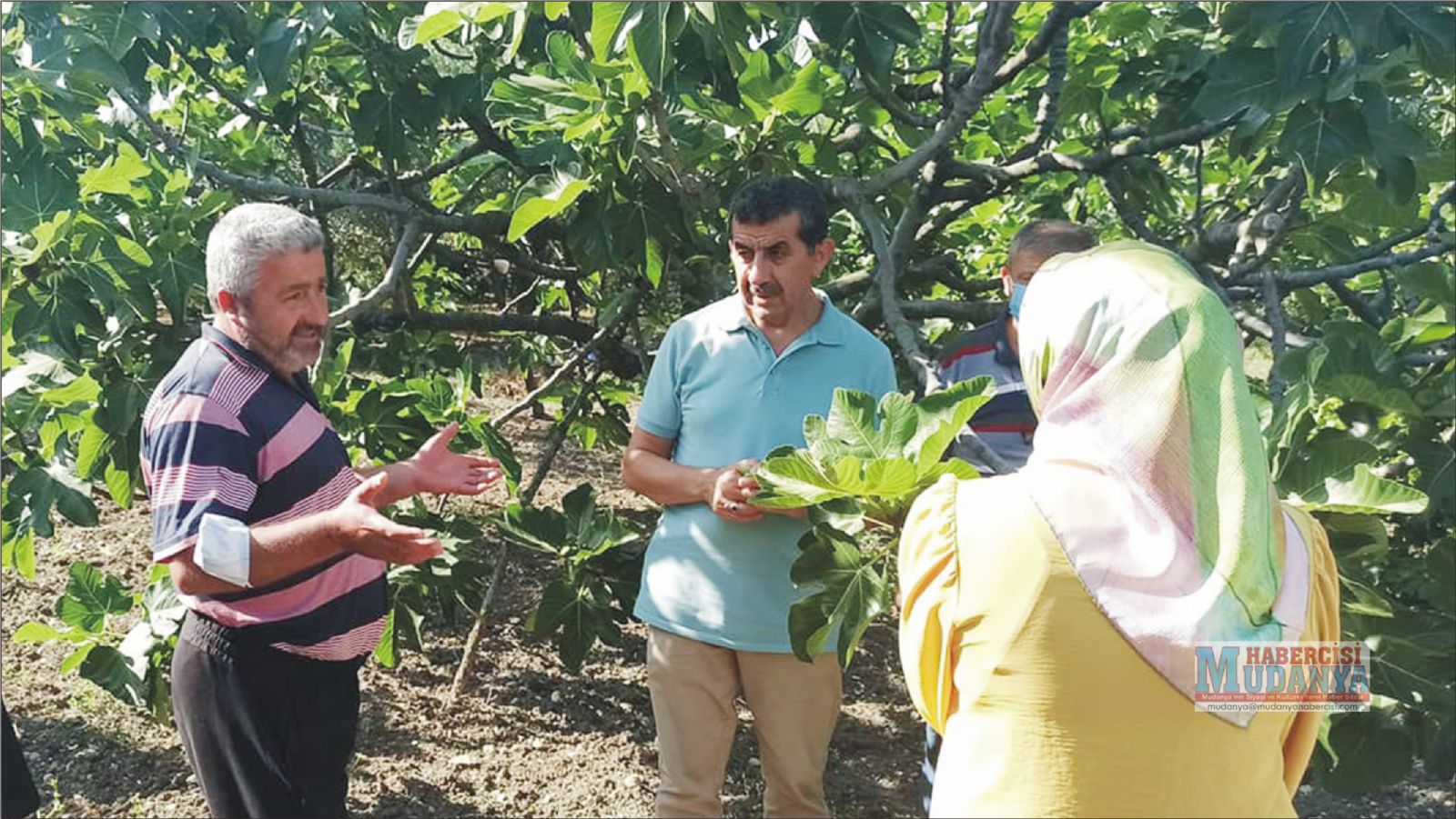 MUDANYA'DA DKLEN NCRE YERNDE NCELEME